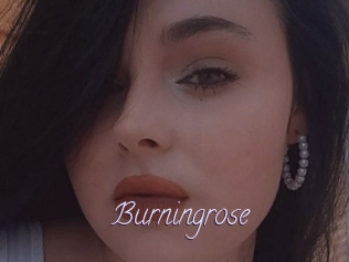 Burningrose