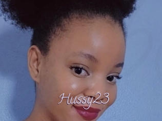 Hussy23