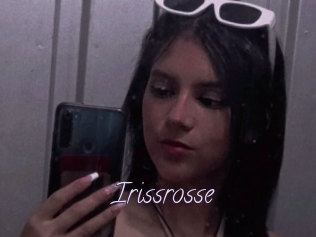 Irissrosse