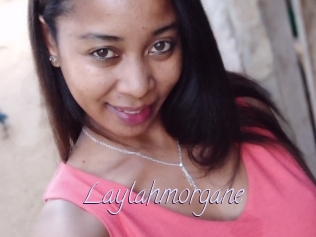 Laylahmorgane