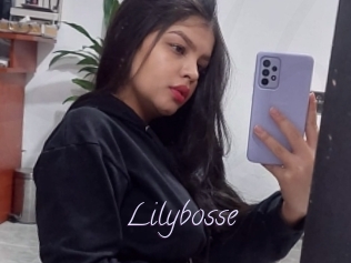 Lilybosse